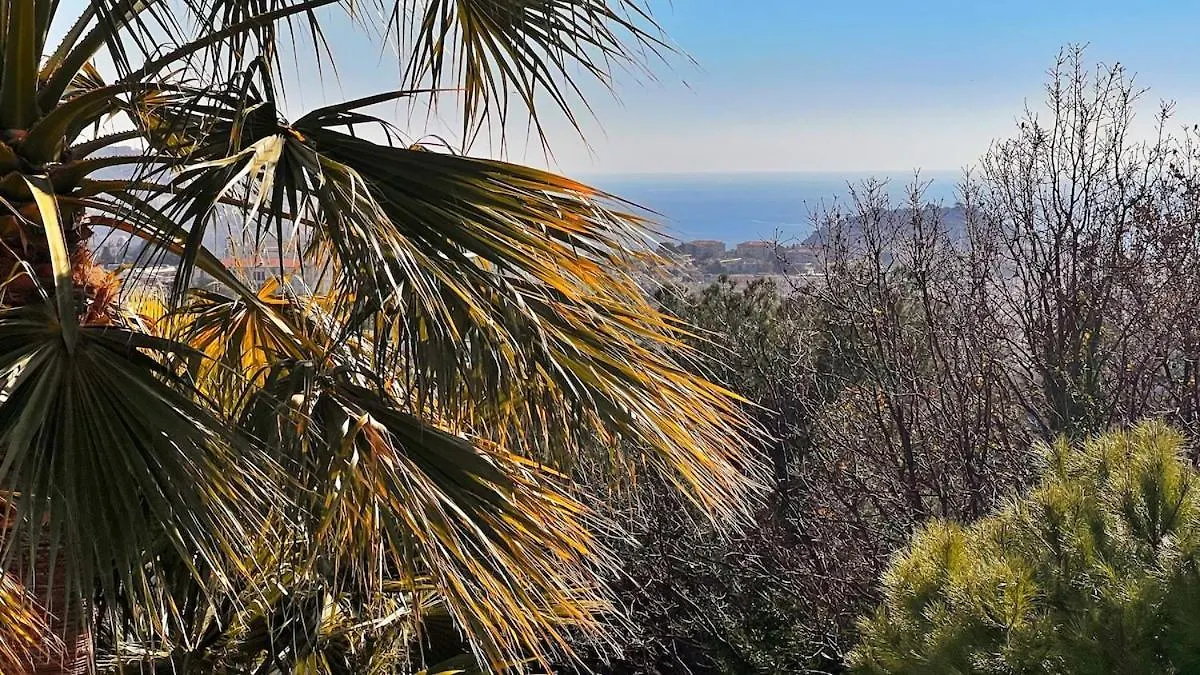 La French Riviera Villa Nice